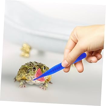 Amazon.co.jp: 6個 爬虫類 スポイト 爬虫類供給トング 供給ク